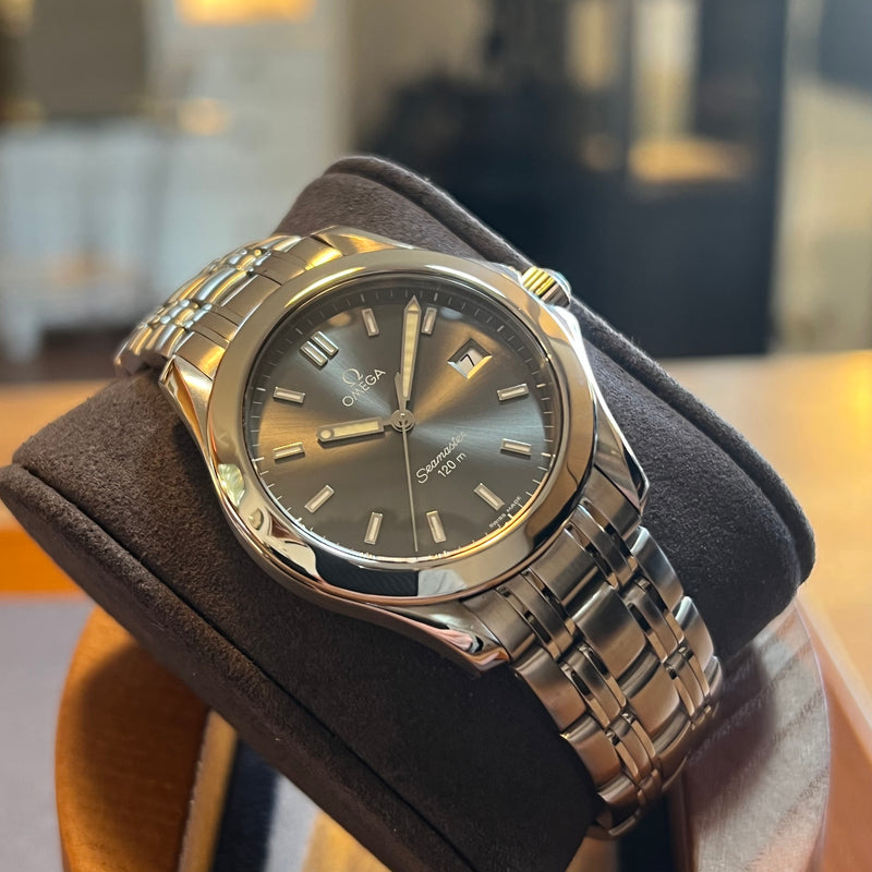 Omega Seamaster 120m Gay Dial 2511.4300